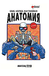 Noch anschaulichere Anatomie